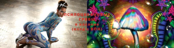метамфетамин Богданович