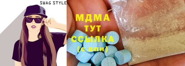 гидра Богородск