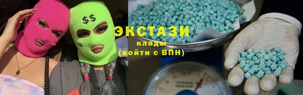 гидра Богородск