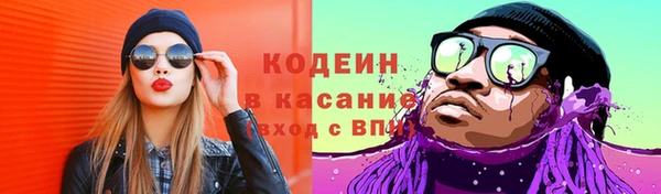 гидра Богородск
