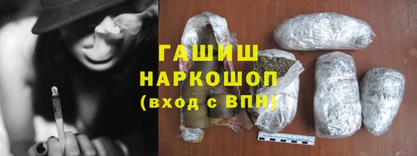 гидра Богородск