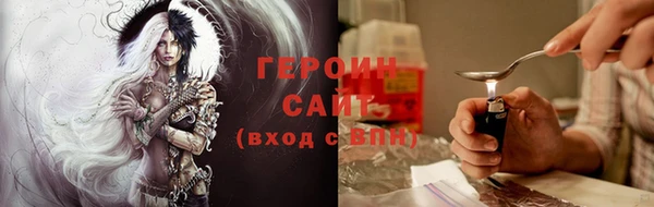 гидра Богородск