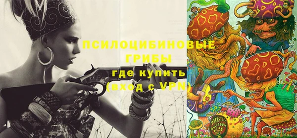 метамфетамин Богданович