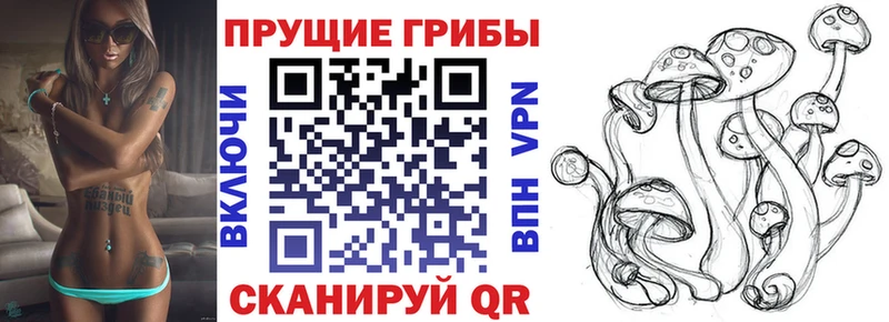 Галлюциногенные грибы ЛСД  Велиж 